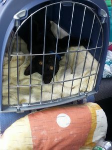 Größenänderung Mausi on tour.jpg