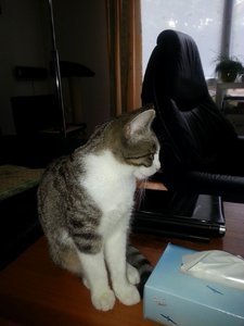 Größenänderung Minou.jpg