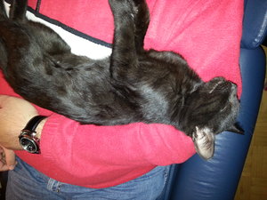 Mausi mit Papa 1.jpg