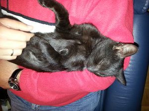 Mausi mit Papa 2.jpg