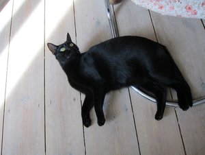 IMG_2569 - Kopie.JPG