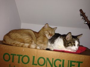 ImageUploadedByTapatalk1412518154.566785.jpg ImageUploadedByTapatalk1412518154.566785.jpg