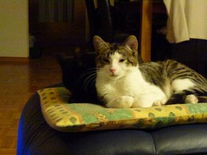 kleine Prinzessin.jpg