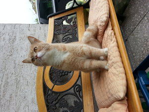 20141009_161140 (2).jpg