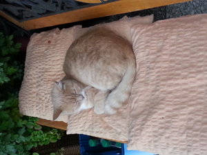 20141009_161802 (2).jpg