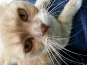 20141009_160836 (2).jpg