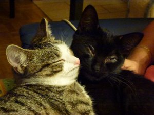 ein Herz und eine Seele.jpg