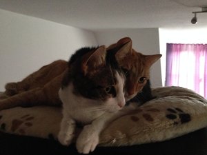 2014-10-10 15.52.40.jpg