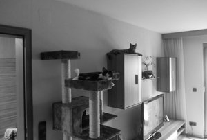 Juli und Kasper 1.jpg