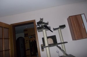 Juli und Kasper 2.jpg