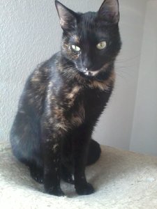 2014-10-02 12.31.42.jpg