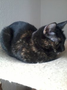 2014-10-02 12.31.11.jpg