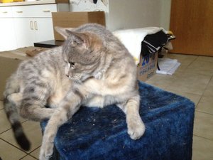 2014-10-12 12.12.05.jpg