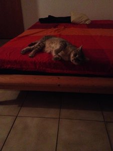 2014-10-10 19.37.11.jpg