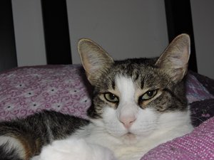 2014-10-14 18.55.24.jpg