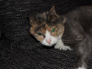 2014-10-14 19.00.30.jpg