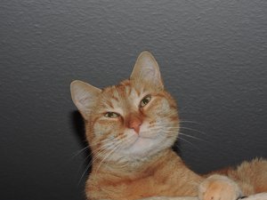 2014-10-14 18.59.07.jpg