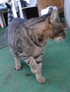 20141015_145215 (483x640).jpg