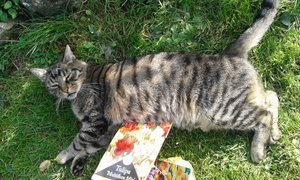 20141015_150619 (640x384).jpg