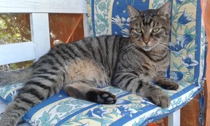 20141015_153113 (640x384).jpg