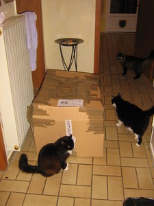 2014_10_18 IMG_0023.JPG