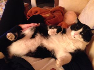 2014_03_20 IMG110256_5.jpg