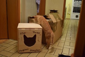 2014_10_18 IMG083031_6a.jpg