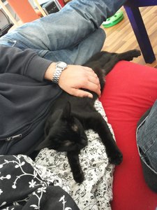 2014-10-03 14.17.28.jpg