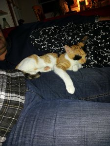 2014-10-04 23.11.46.jpg