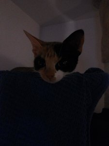 2014-10-13 20.36.06.jpg