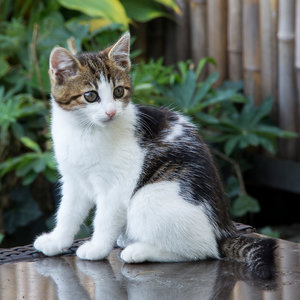 IMG_7832 Kopie 1 klein.jpg