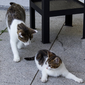 IMG_7851 Kopie 1 klein.jpg