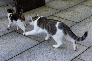 IMG_7849 Kopie 1 klein.jpg