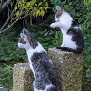 IMG_7887 Kopie 1 klein.jpg