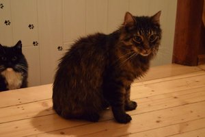 2014_08_26 IMG083742.jpg