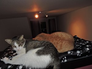 2014-10-25 19.25.01.jpg