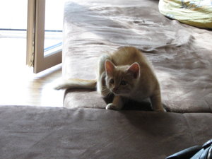 2011_06_12 IMG_1256.jpg