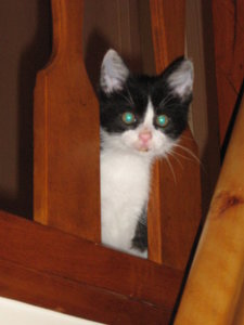 2011_10_11 IMG_1409.JPG