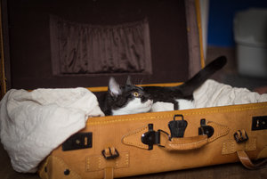 maja09.jpg maja09.jpg