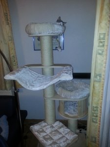 Drehen von 20141025_203931.jpg