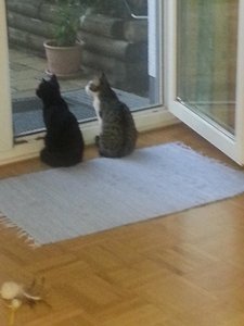 Drehen von 20141026_172336.jpg