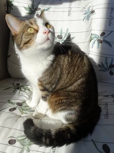 DSC03571 (476x640).jpg