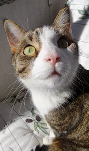 DSC03572 (377x640).jpg