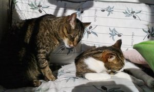 20141027_114319 (640x384).jpg