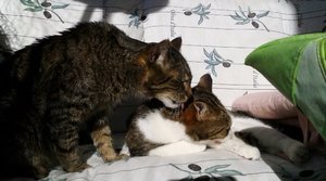 20141027_114423 (640x355).jpg