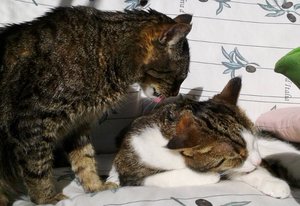 20141027_114425 (640x439).jpg