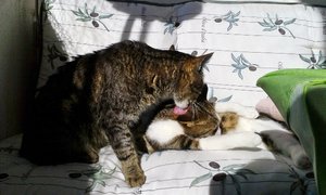 20141027_114503 (640x382).jpg