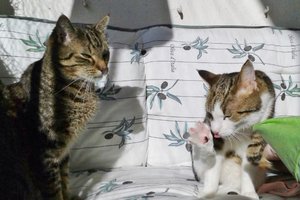 20141027_114618 (640x426).jpg