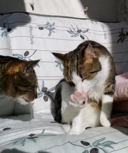 20141027_114623 (534x640).jpg