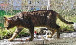 20141027_120438 (640x379).jpg